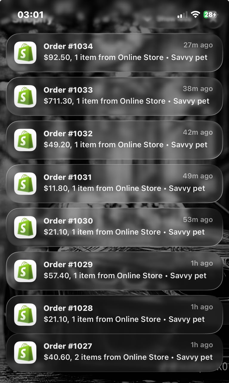 Stream of Shopify order notifications for the Savvy Pet store